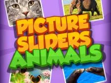 Picture Slider Animals